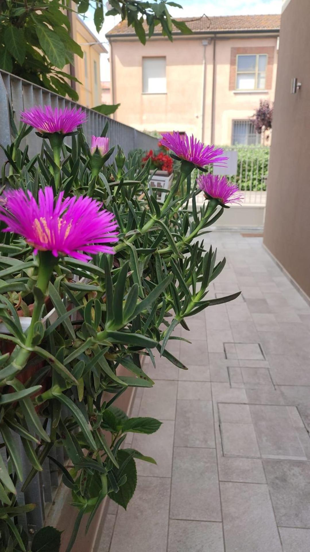 Darsena B&B Tra Arte E Mare Ravenna Kültér fotó
